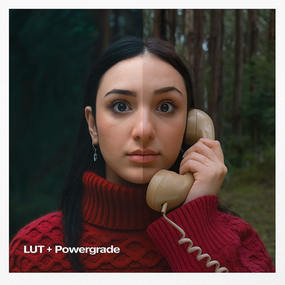 CineProLUTs: +800  Pro Photographer Bundle