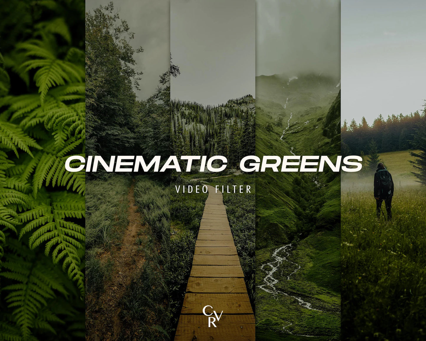 CineProLUTs: +800  Pro Photographer Bundle