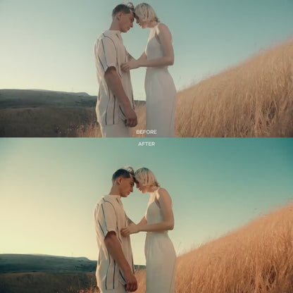 CineProLUTs: +800  Pro Photographer Bundle